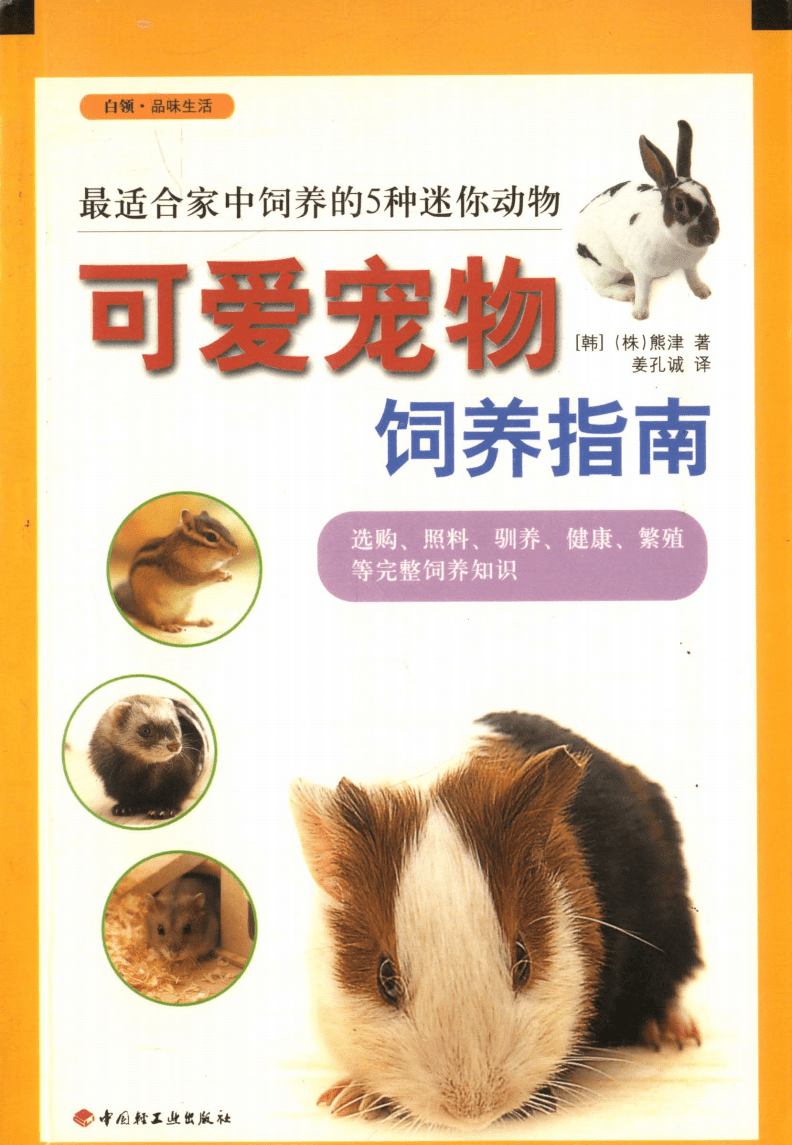 迷你伴侣 家中饲养五种小巧宠物的实用指南