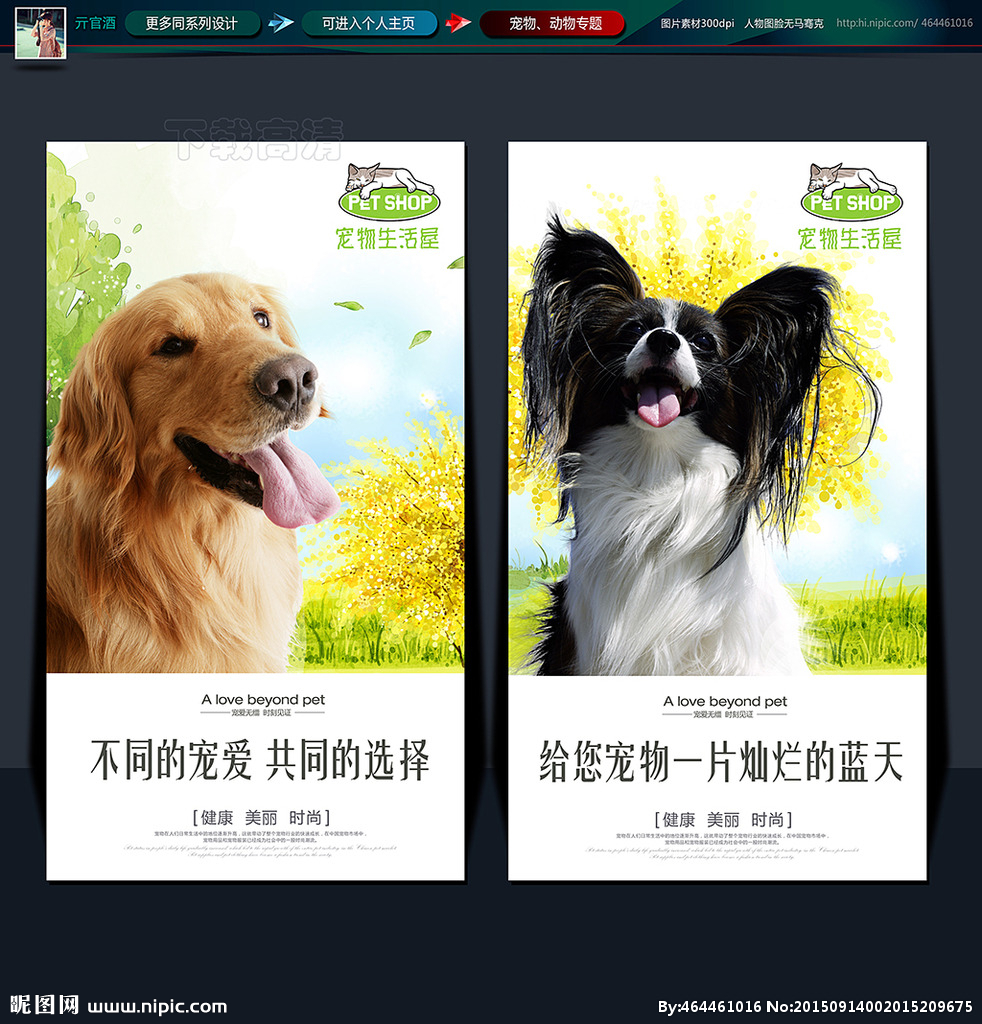 宠物饲养与创意设计 从饲养需求到海报灵感的完整指南